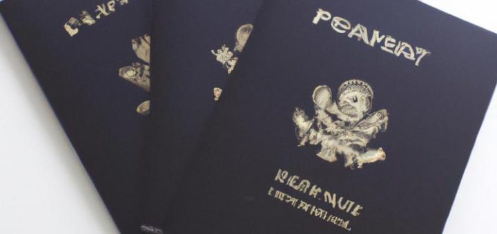 Ile kosztuje wyrobienie paszportu?